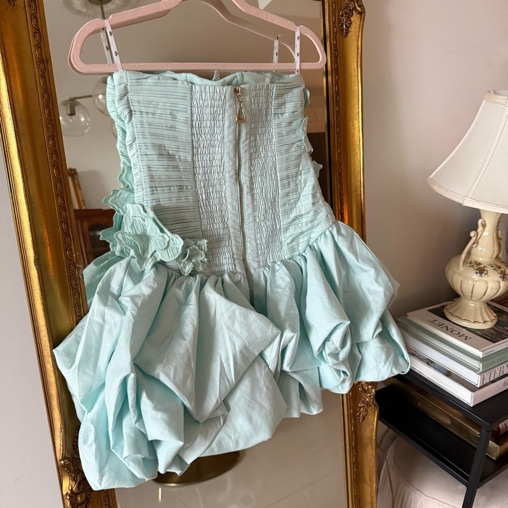 Aje Splendour Mini Dress - Picture 13 of 14